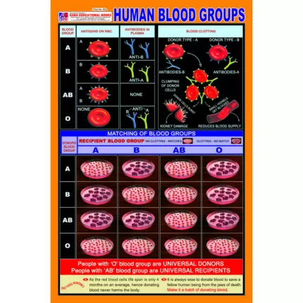 Chart No 253 (Human Blood Groups)