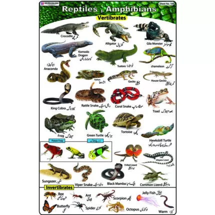 Sheet No 109 (Reptiles, Amphibians)