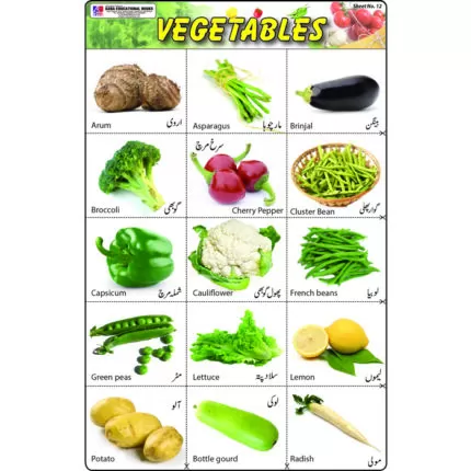 Sheet No 12 (Vegetables)