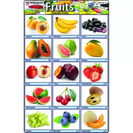 Sheet No 18 (Fruits)