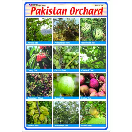 Sheet No 188 (Pakistan Orchard)