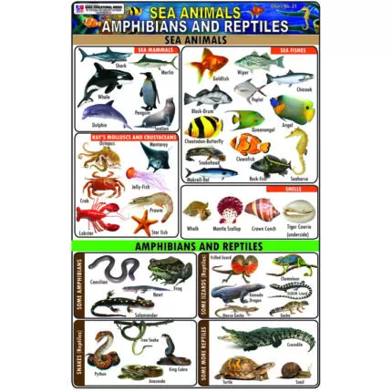 Chart No 21 (Sea Animals Amphibians and Reptiles)