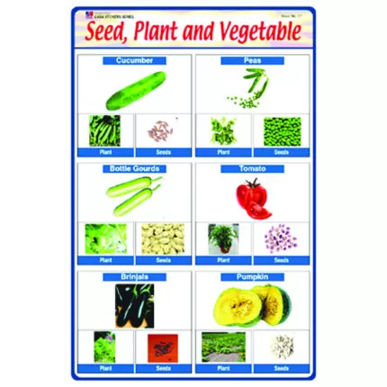 Sheet No 57 (Seed, Plant and Vegetable)