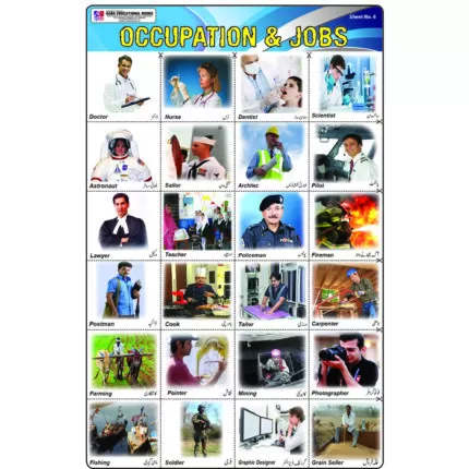 Sheet No 6 (Occupation and Jobs)