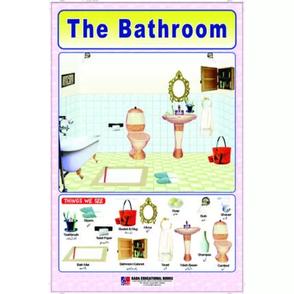 Chart No 46 (The Bathroom)