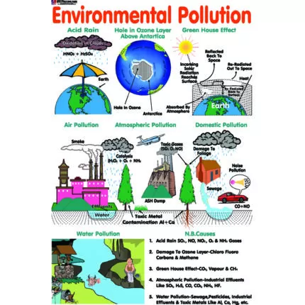 Chart No 173 (Environmental Pollution)