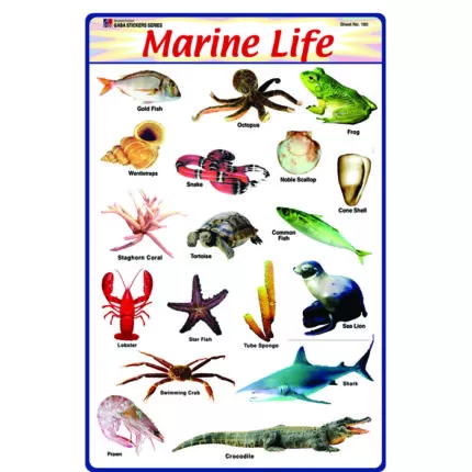Sheet No 180 (Marine Life)