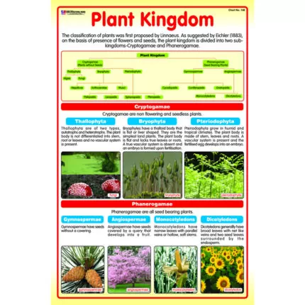 Chart No 146 (Plant Kingdom)