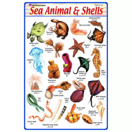 Sheet No 122 (Sea Animals and Shells)