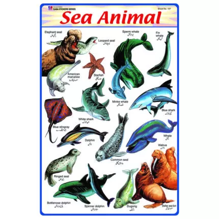 Sheet No 127 (Sea Animal)