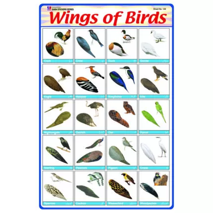 Sheet No 128 (Wings of Birds)