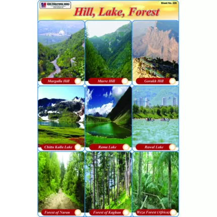 Sheet No 226 (Hill, Lake, Forest)